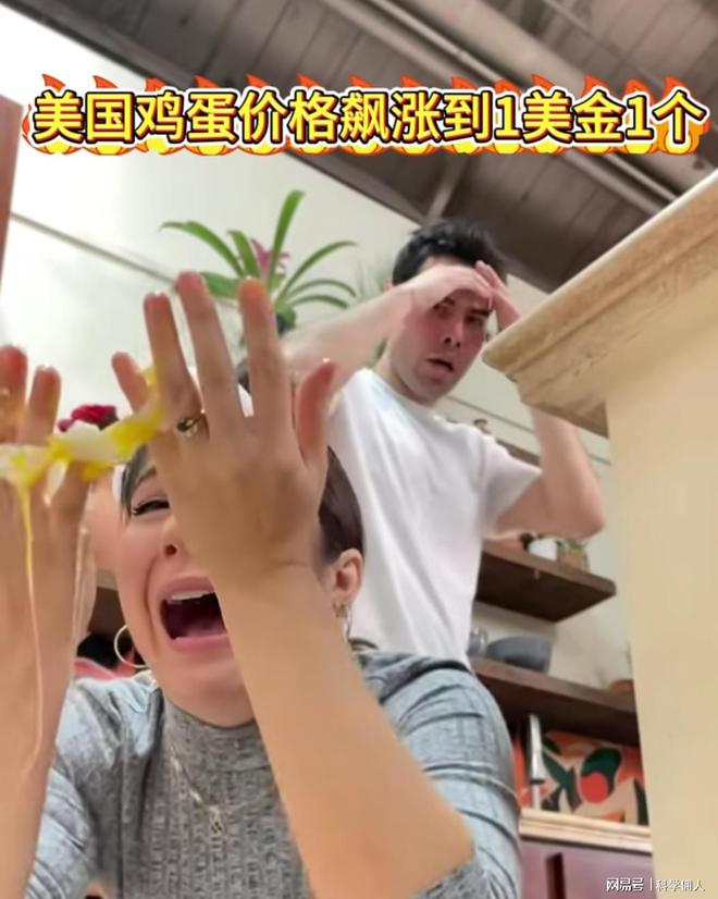 蛋现在成了奢侈品：1美元1个！电子pg美国超市里最普通的鸡(图3)